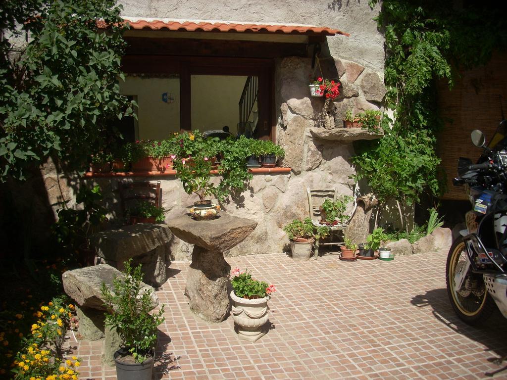 Sa Rosa E Su Trapperi Bed & Breakfast Oschiri Eksteriør bilde