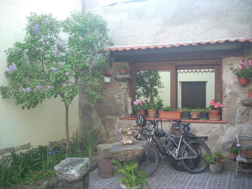 Sa Rosa E Su Trapperi Bed & Breakfast Oschiri Eksteriør bilde